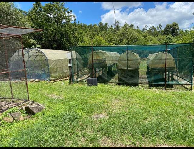 FARM FOR SALE IN WHITE RIVER RURAL